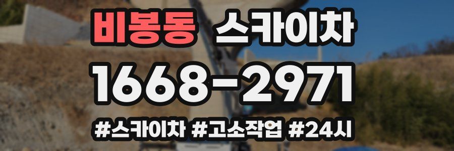 비봉동 스카이차