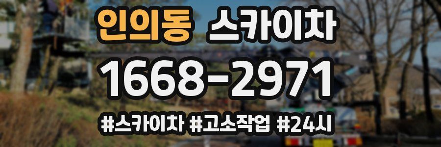 인의동 스카이차