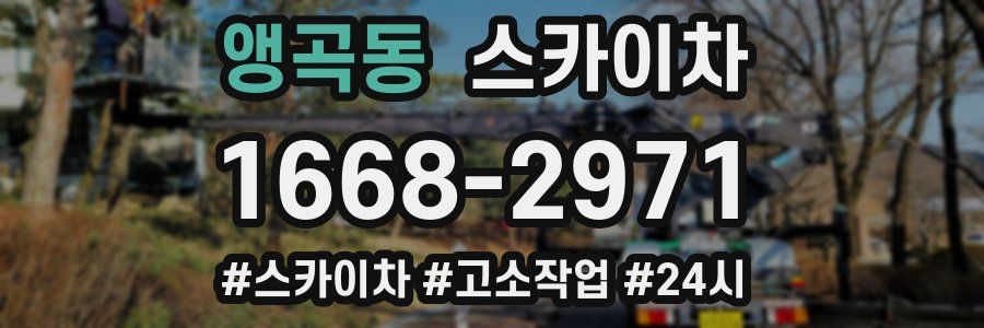 앵곡동 스카이차