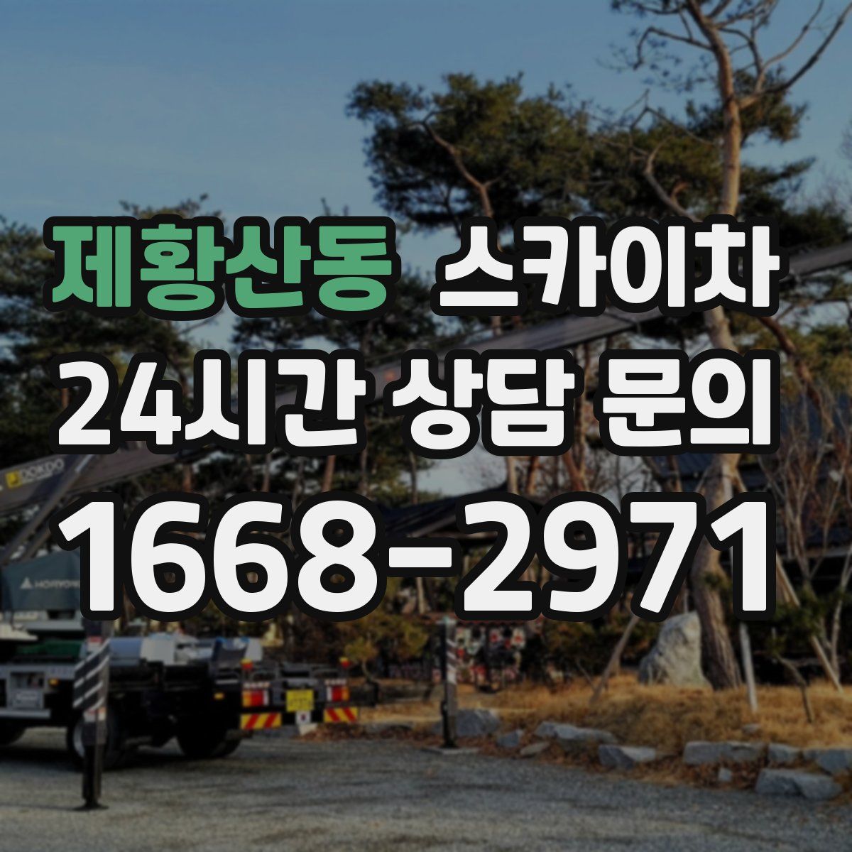제황산동 스카이차