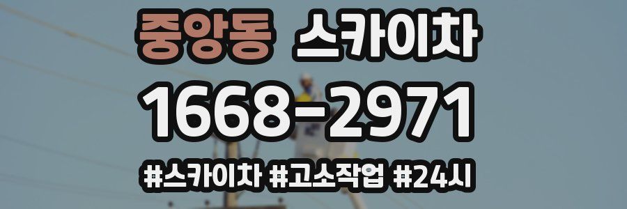 중앙동 스카이차