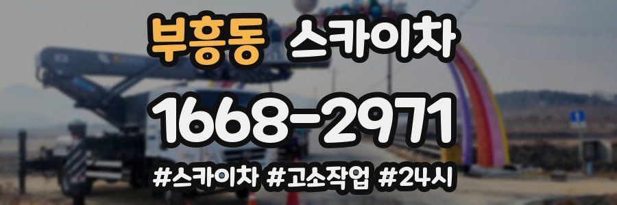 부흥동 스카이차