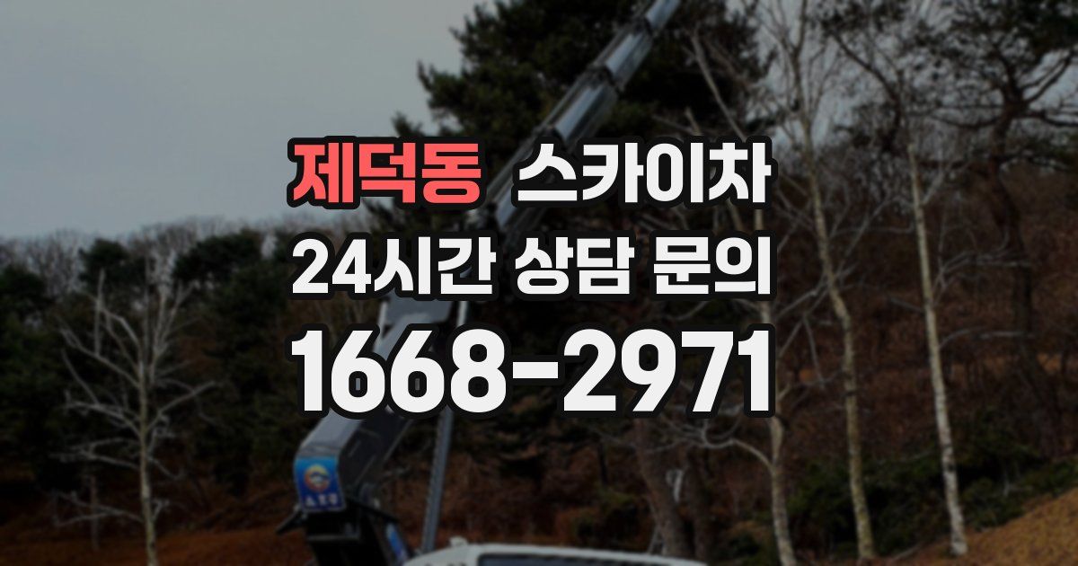 제덕동 스카이차