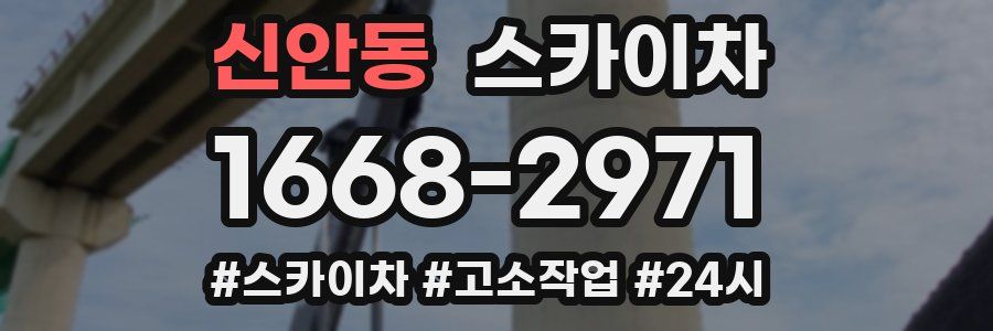 신안동 스카이차
