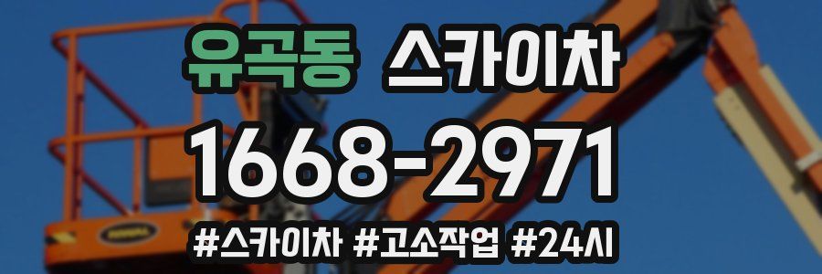 유곡동 스카이차