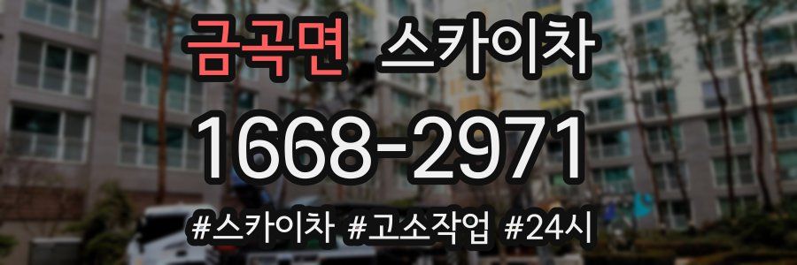 금곡면 스카이차