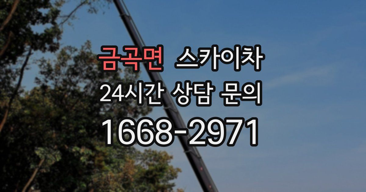 금곡면 스카이차