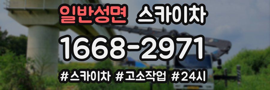 일반성면 스카이차