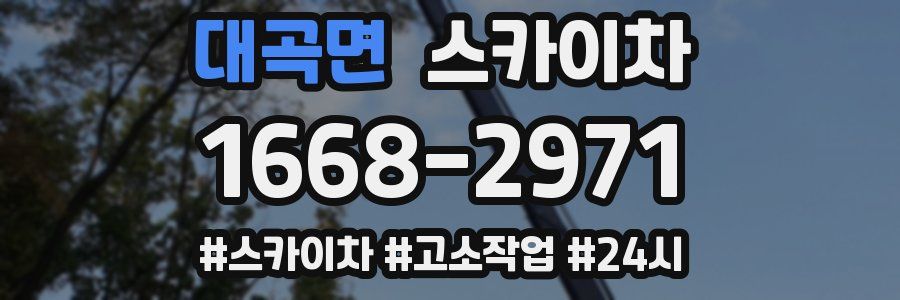 대곡면 스카이차