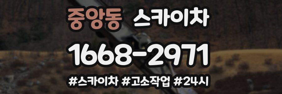 중앙동 스카이차