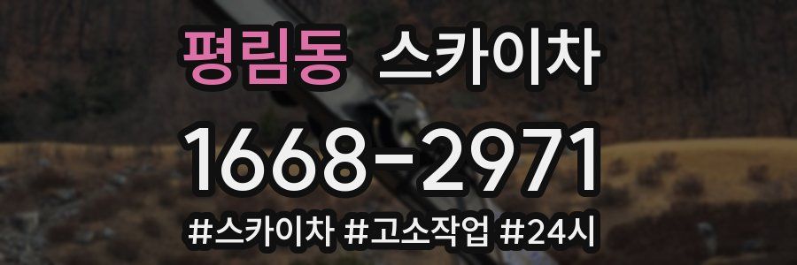 평림동 스카이차