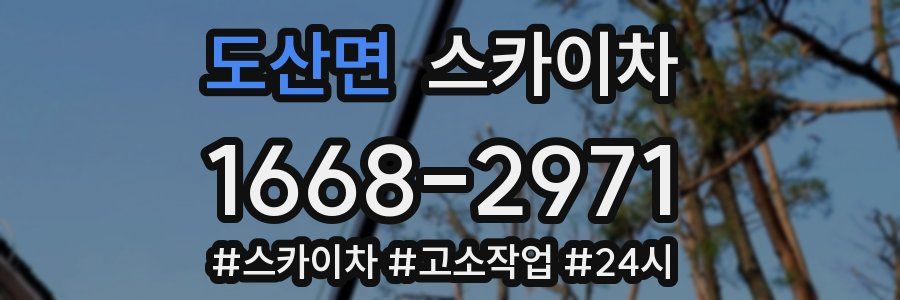 도산면 스카이차