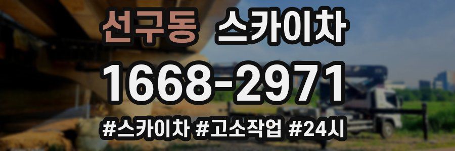 선구동 스카이차