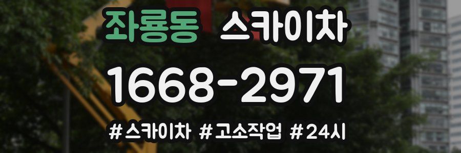 좌룡동 스카이차