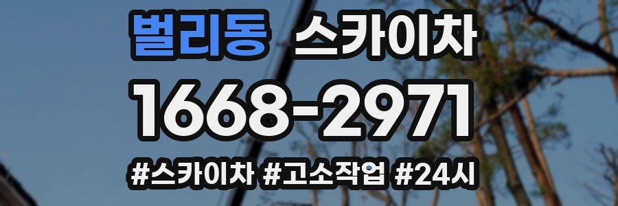 벌리동 스카이차