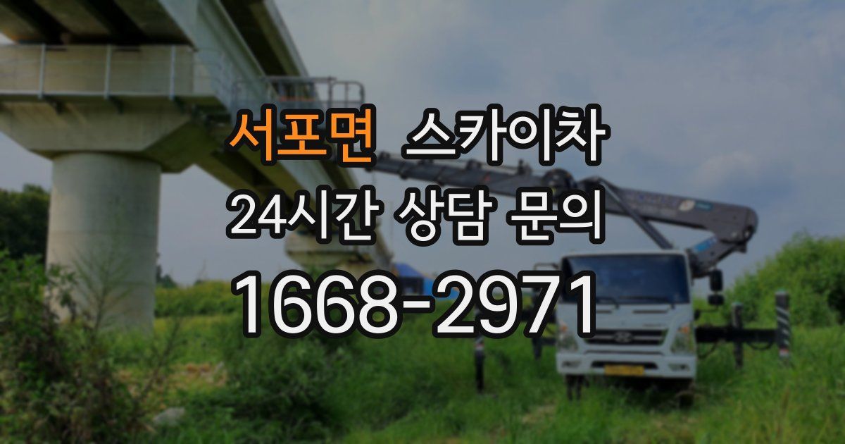 서포면 스카이차