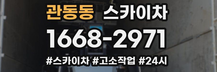 관동동 스카이차