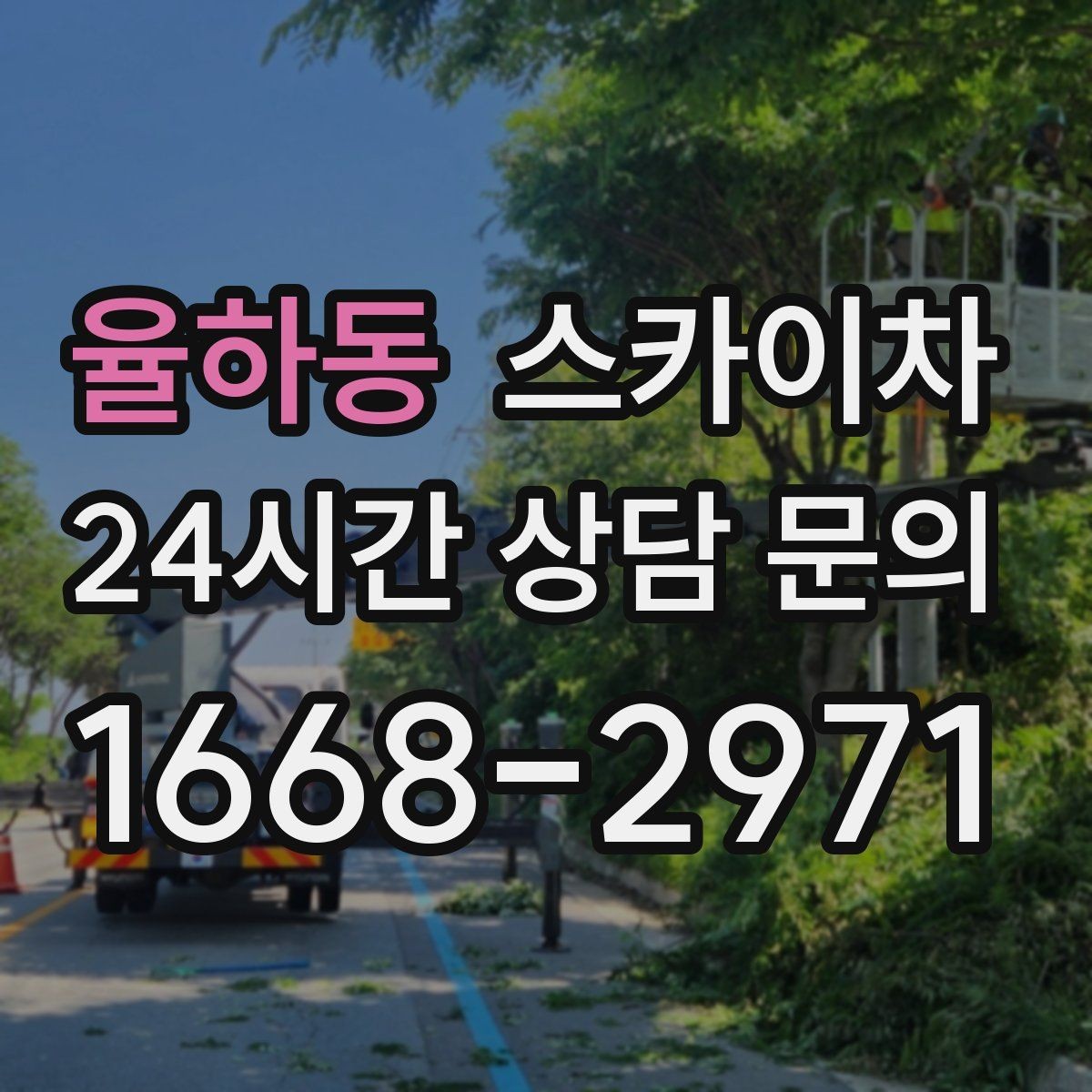 율하동 스카이차 행사 후 현수막 철거를 빠르게