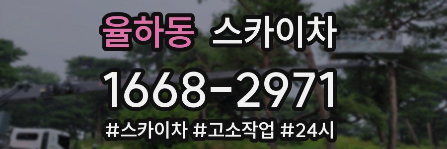 율하동 스카이차