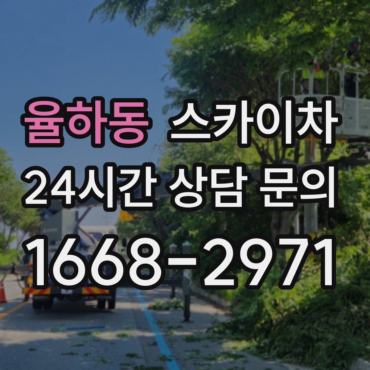 율하동 스카이차