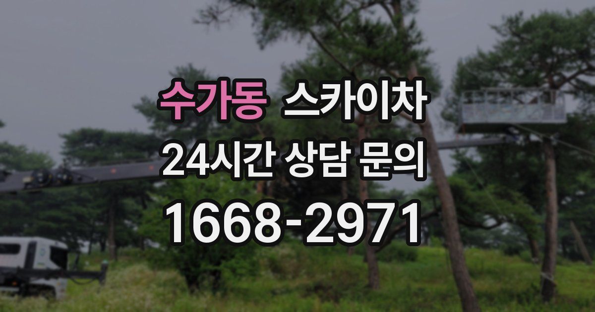 수가동 스카이차