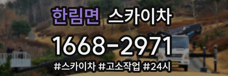 한림면 스카이차