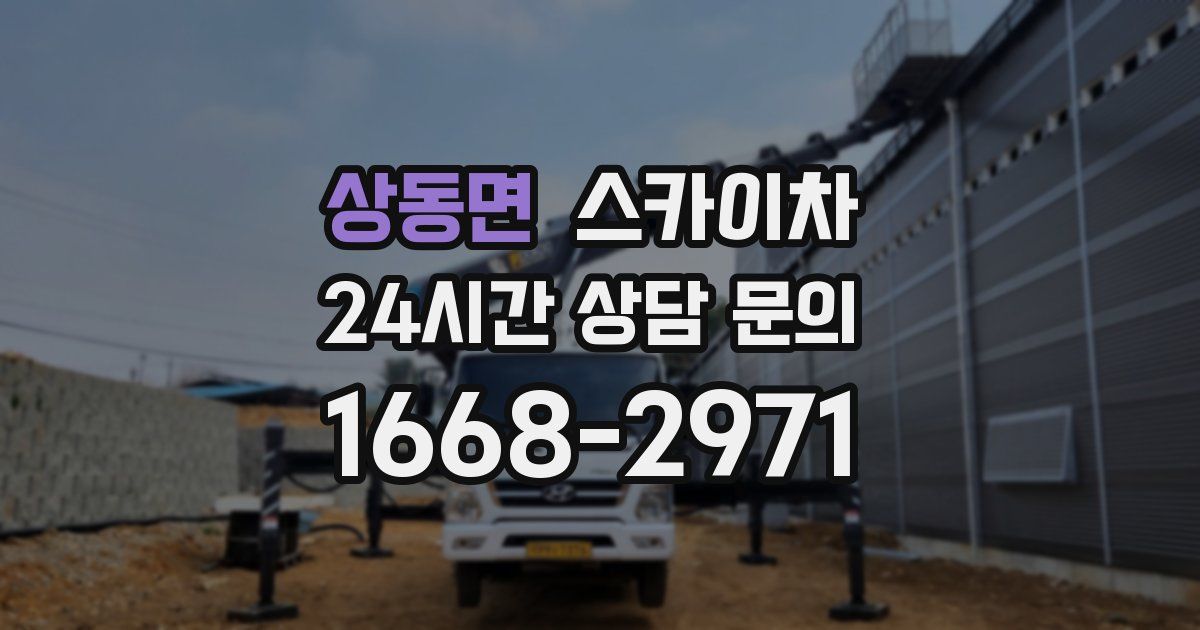 상동면 스카이차