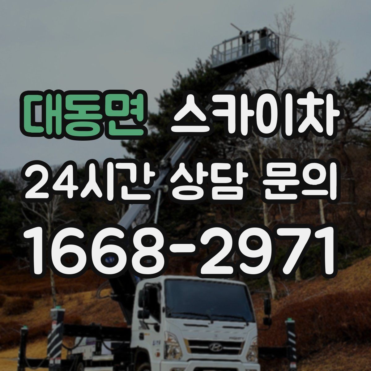 대동면 스카이차 전선 많은 현장 작업 전 주의사항
