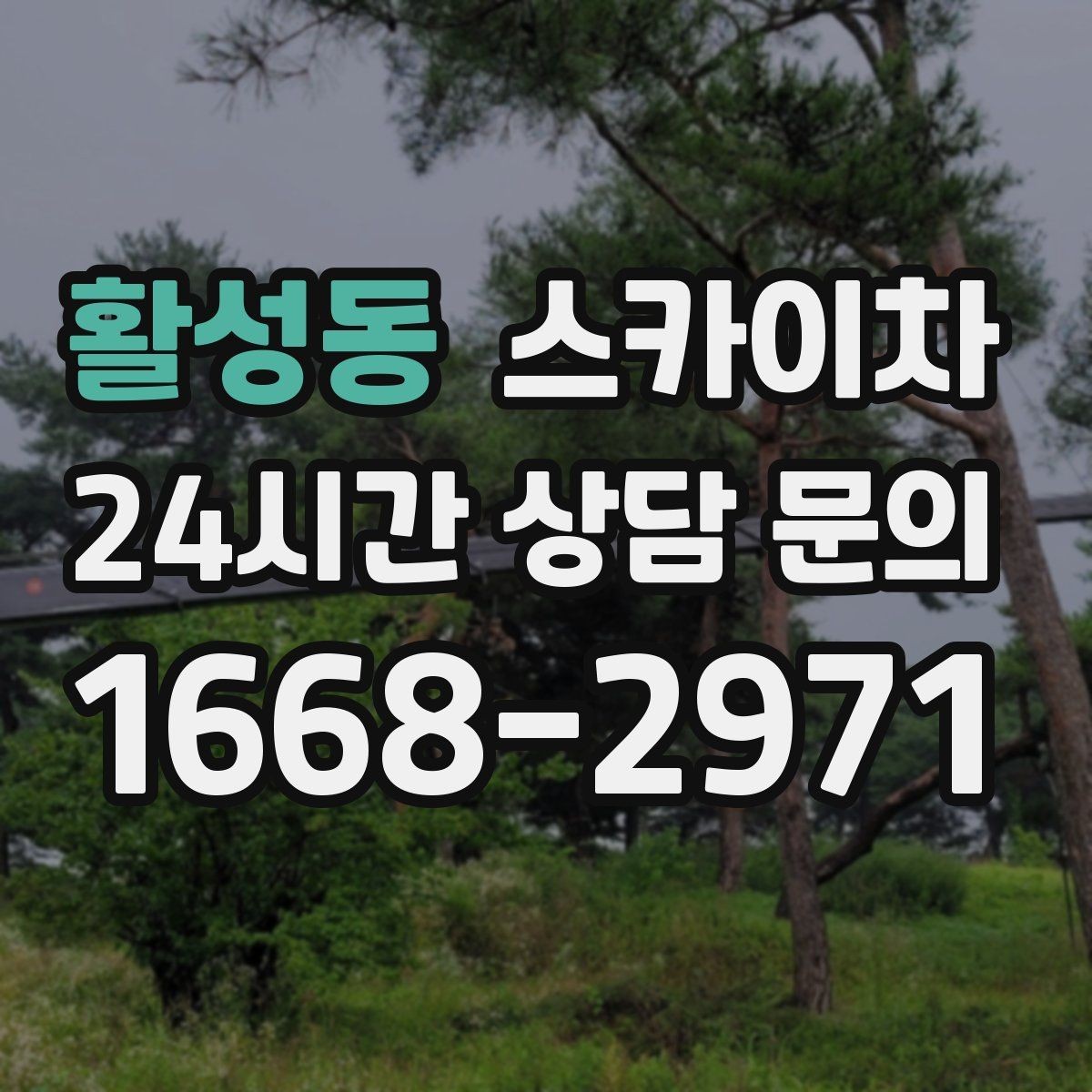 활성동 스카이차 작업 시간대 선택이 중요한 이유