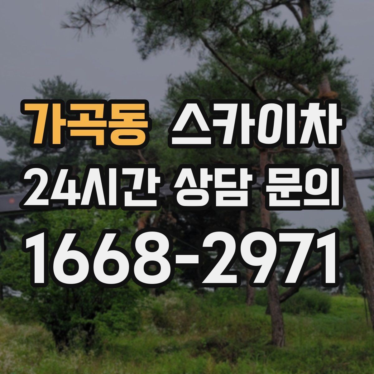 가곡동 스카이차 간판 조명 수리 작업을 빠르게
