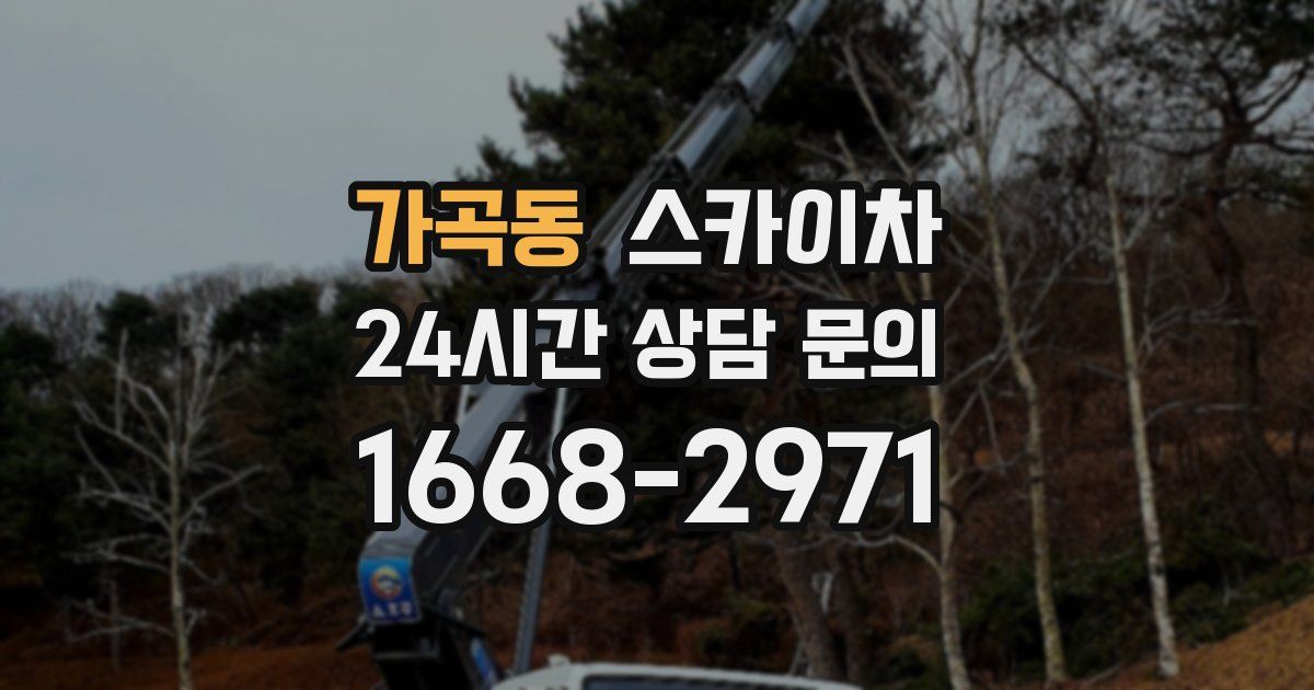 가곡동 스카이차