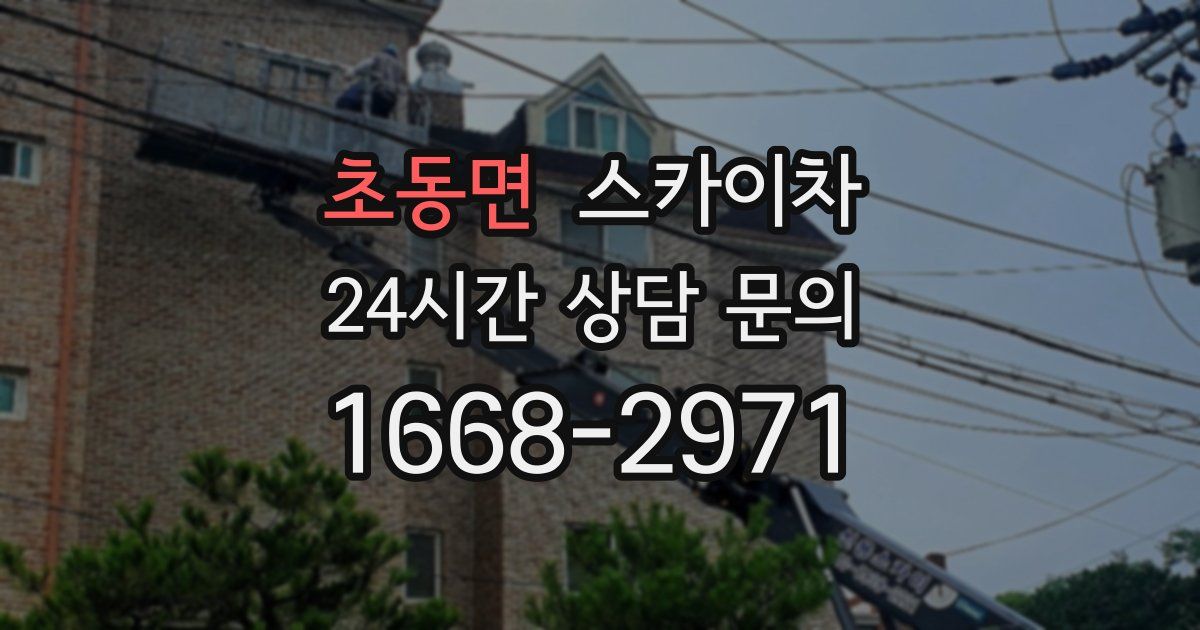 초동면 스카이차