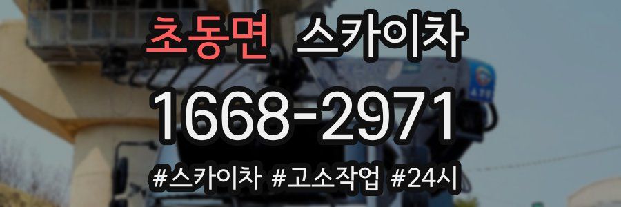 초동면 스카이차