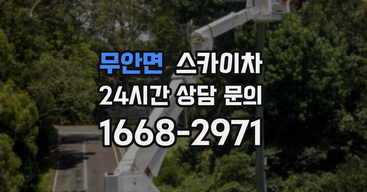 무안면 스카이차