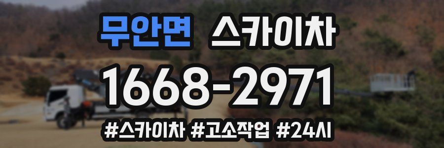 무안면 스카이차