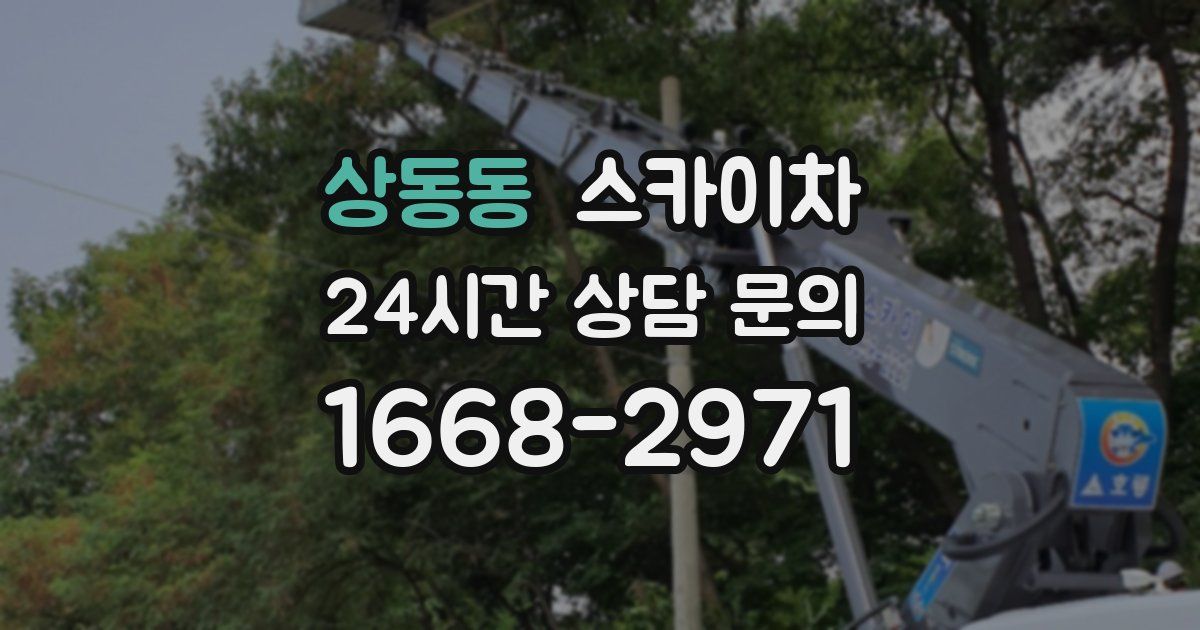 상동동 스카이차