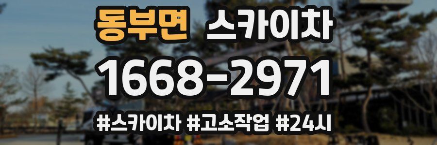 동부면 스카이차