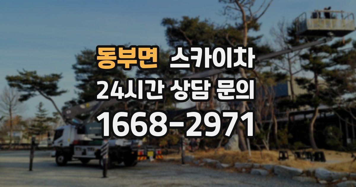 동부면 스카이차