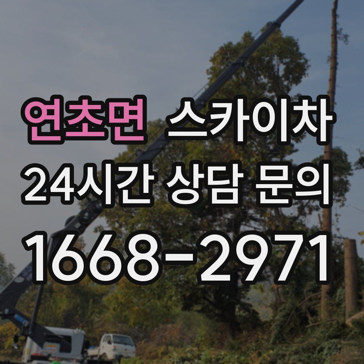 연초면 스카이차 갑자기 필요한 상황을 대비하는 팁