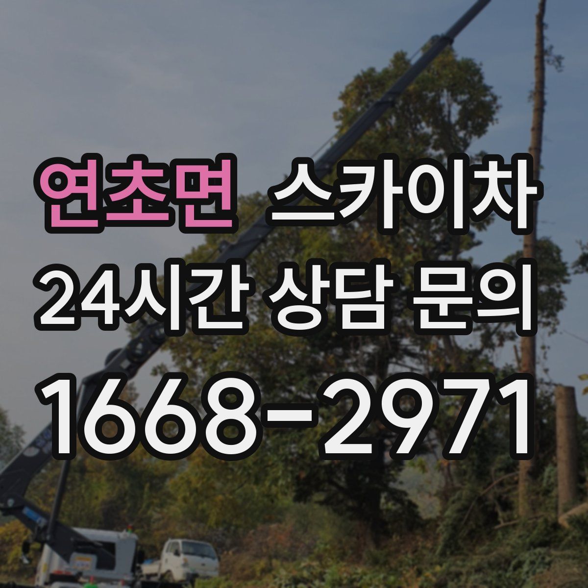 연초면 스카이차