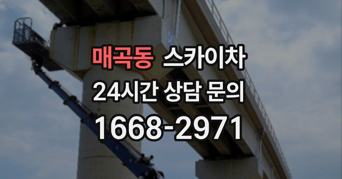 매곡동 스카이차