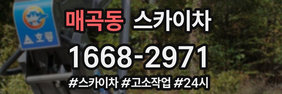 매곡동 스카이차