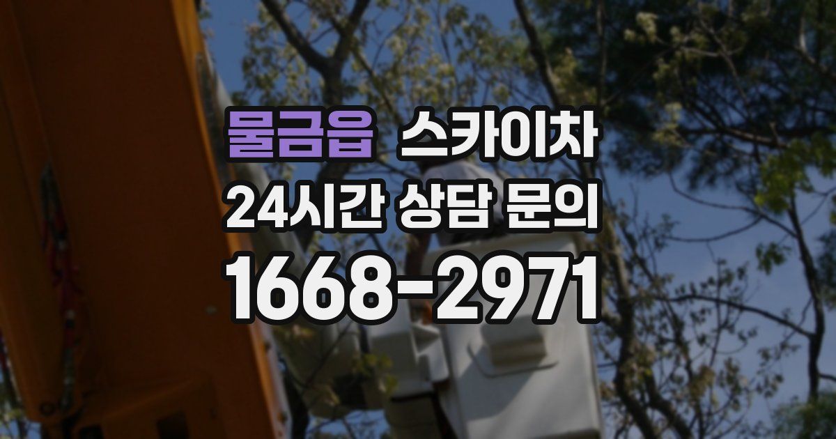 물금읍 스카이차