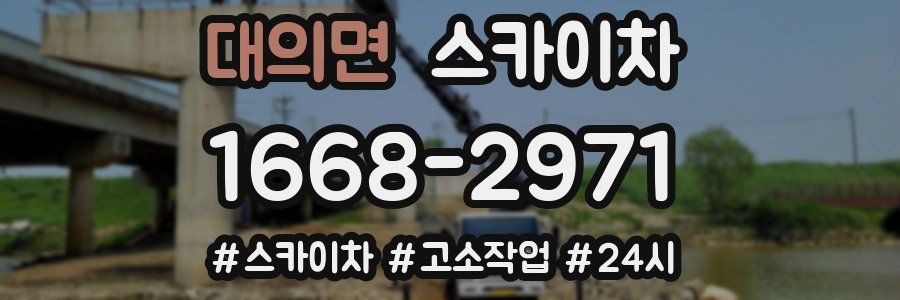 대의면 스카이차