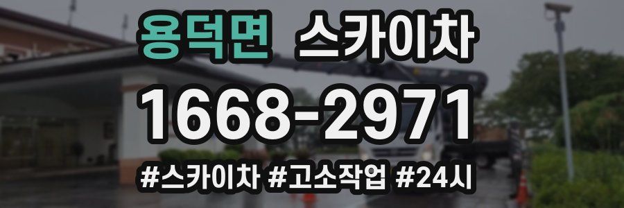 용덕면 스카이차