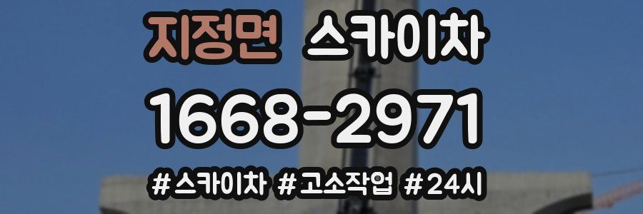 지정면 스카이차