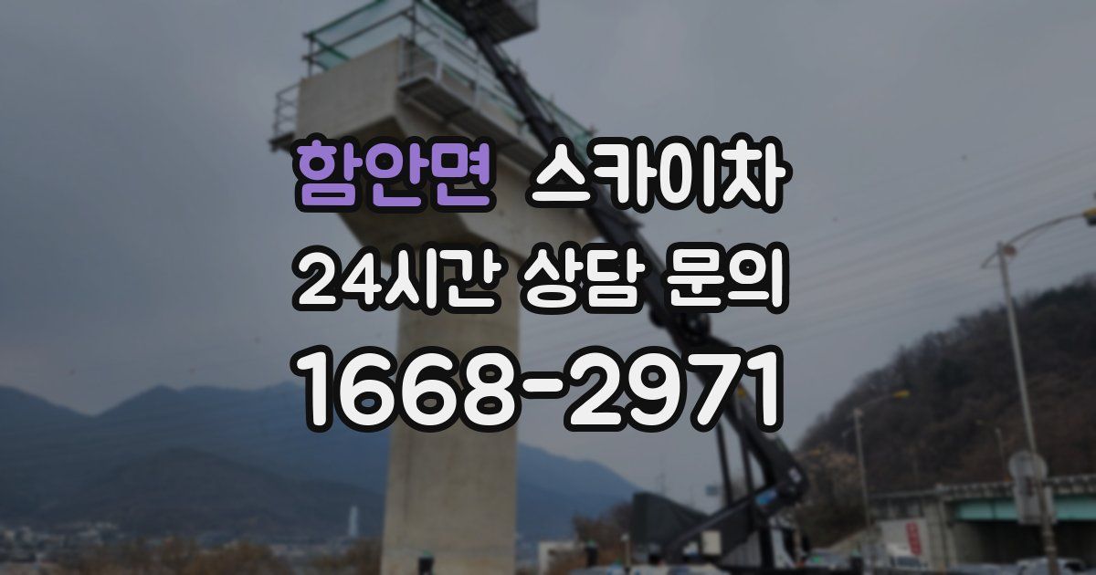 함안면 스카이차