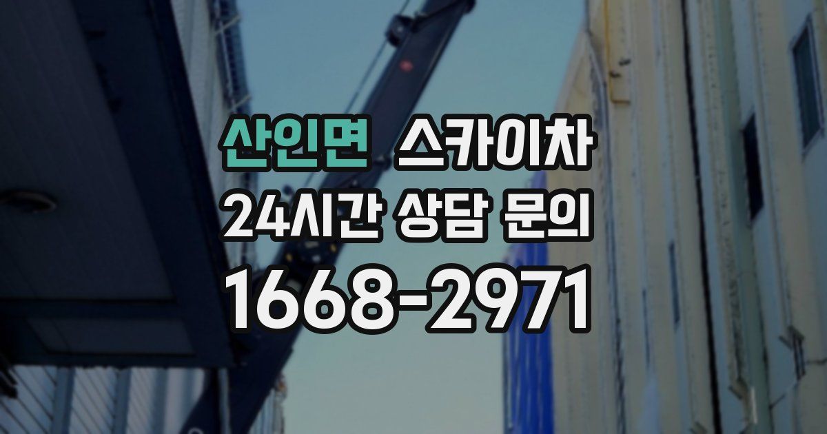 산인면 스카이차