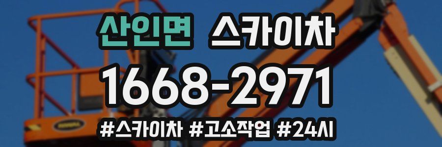 산인면 스카이차