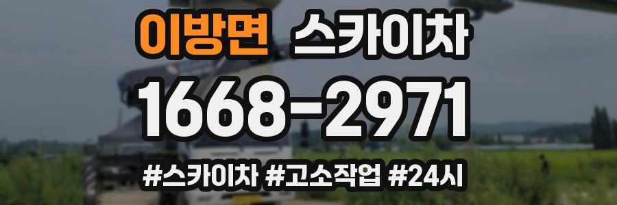 이방면 스카이차